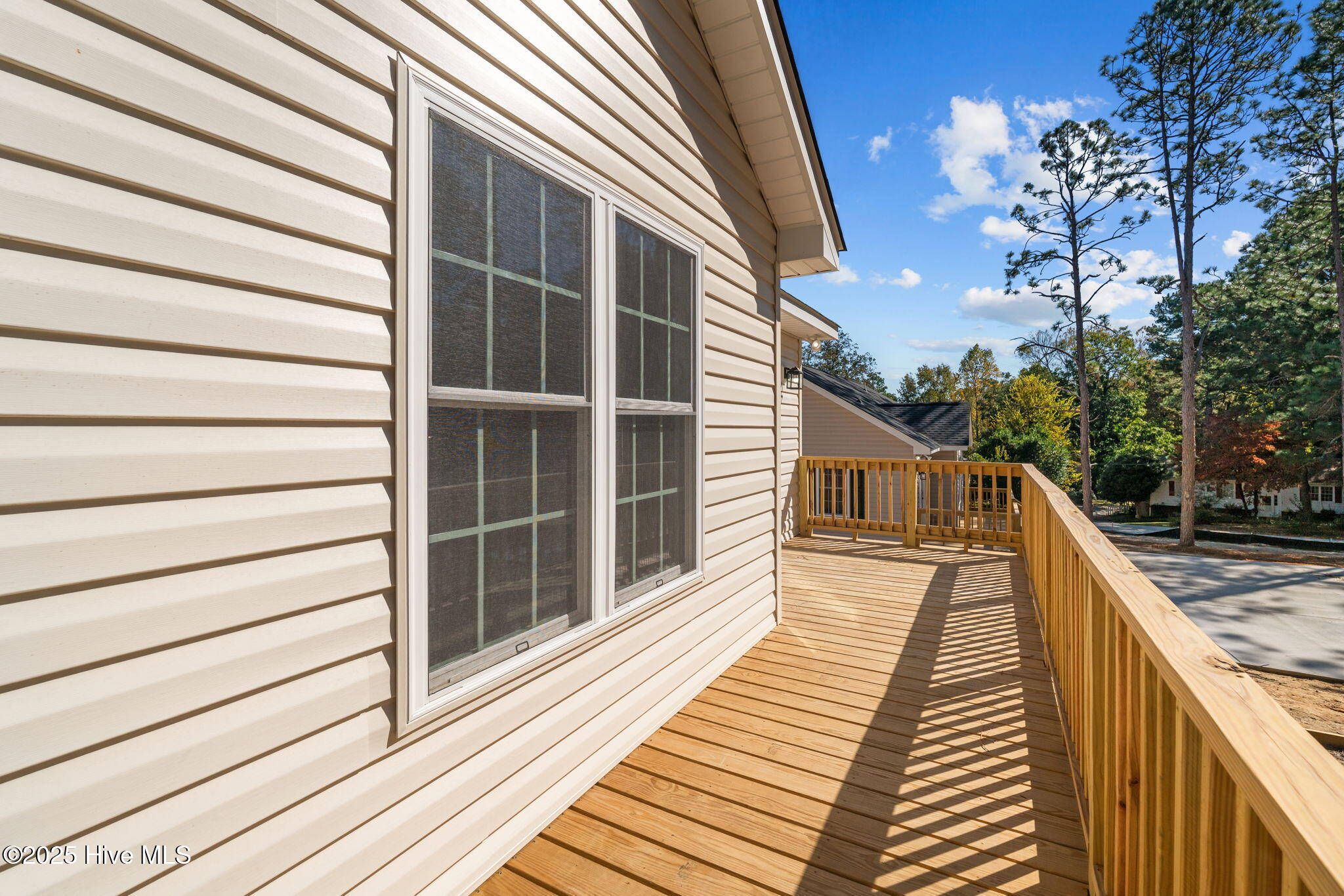 217 Beech Street Hamlet, NC 28345 - Photo 37 of 47 43-web-or-mls-DSC01287