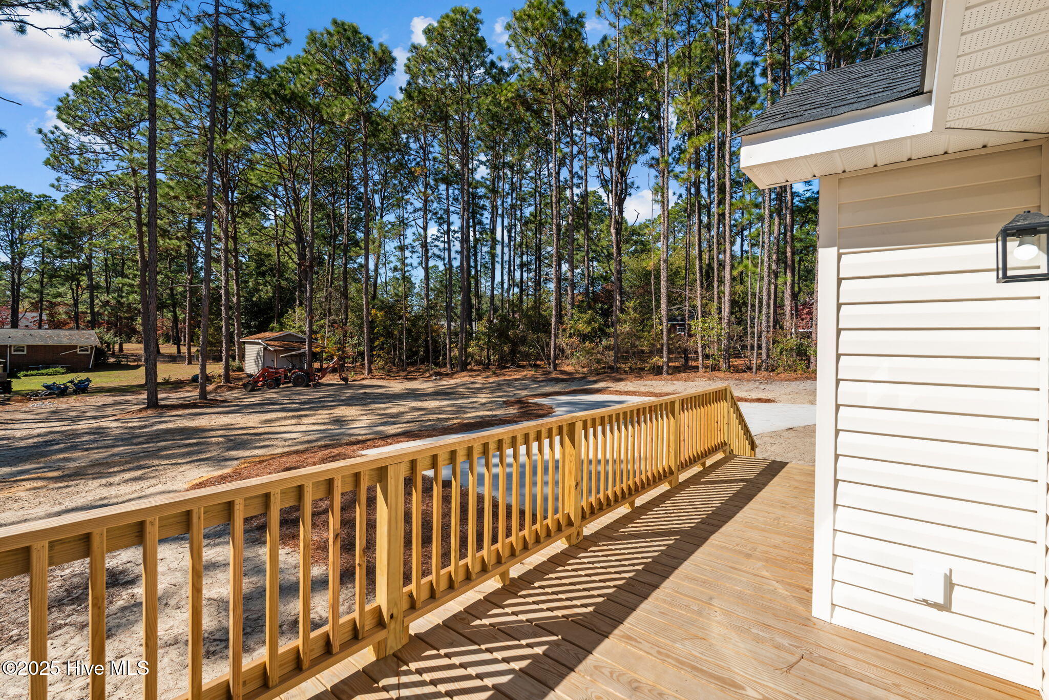 217 Beech Street Hamlet, NC 28345 - Photo 39 of 47 45-web-or-mls-DSC01289