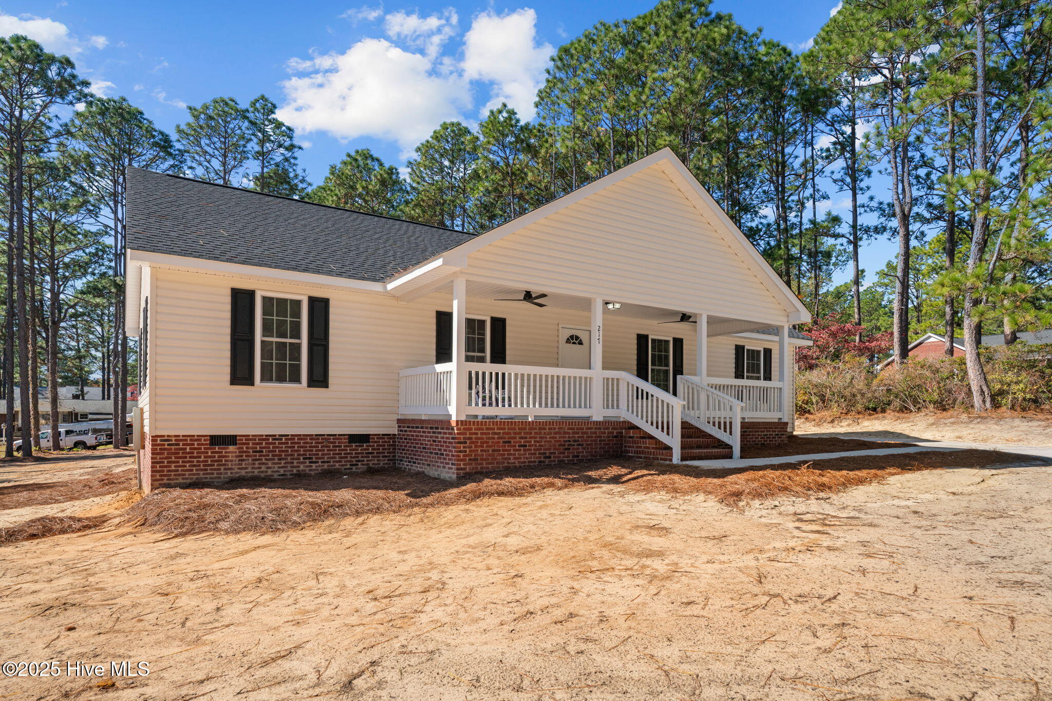 217 Beech Street Hamlet, NC 28345 - Photo 45 of 47 4-web-or-mls-DSC01275