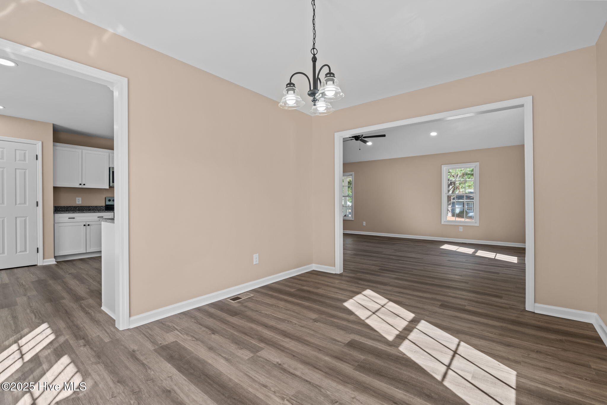 217 Beech Street Hamlet, NC 28345 - Photo 8 of 47 14-web-or-mls-DSC01211