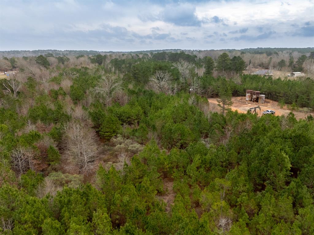 6052 Blocker Road Marshall, TX 75672 - Photo 12 of 22