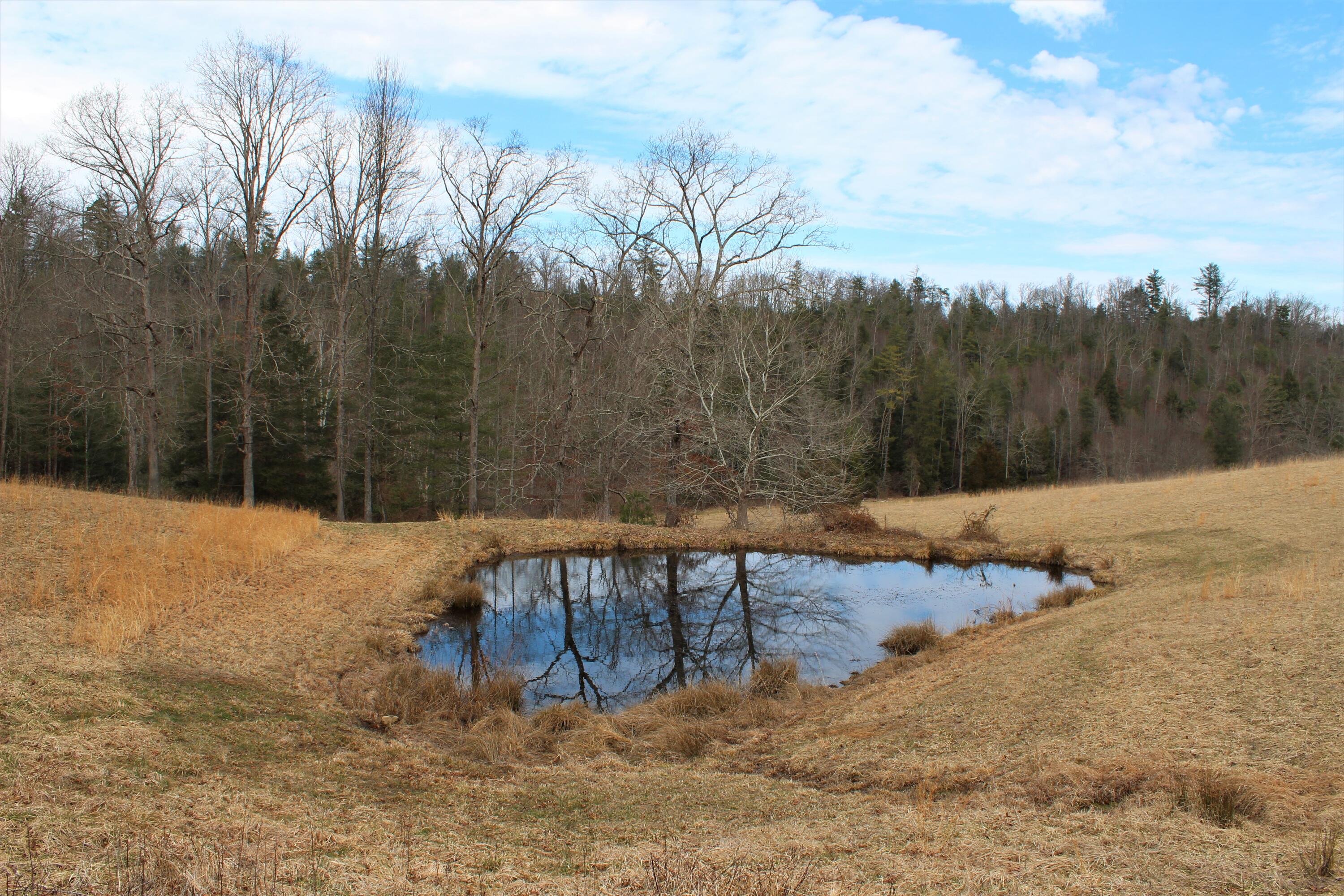 1245 North Shady Lane Road Campton, KY 41301 - Photo 14 of 96 015 check that reflection out!!