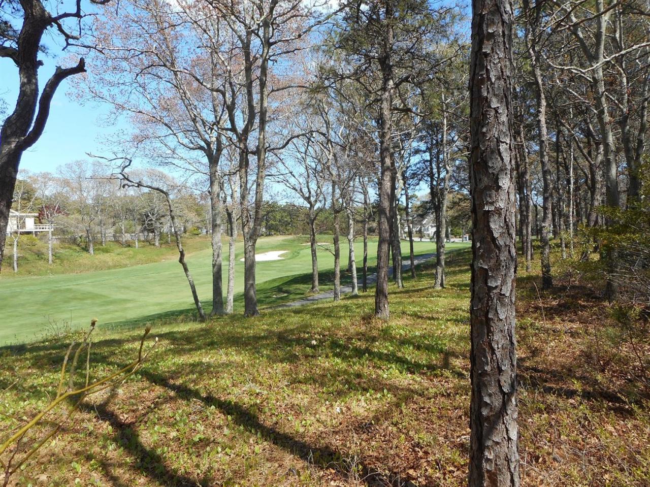 84 Troon Way Mashpee, MA 02649 - Photo 5 of 31 a view of a tree in a yard