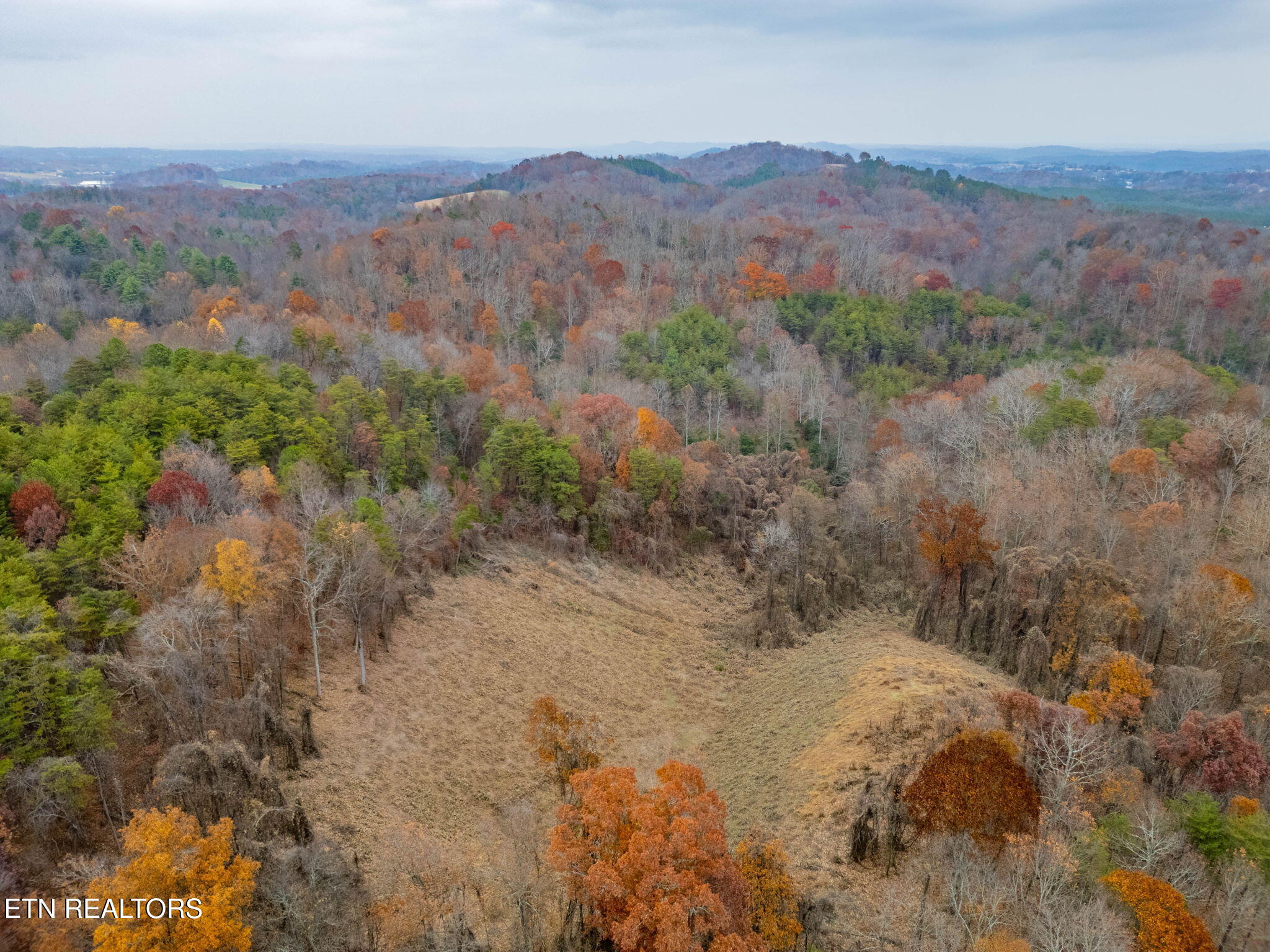 4231 Sweetwater Vonore Road Sweetwater, TN 37874 - Photo 13 of 51 44-web-or-mls-DJI_0920-HDR