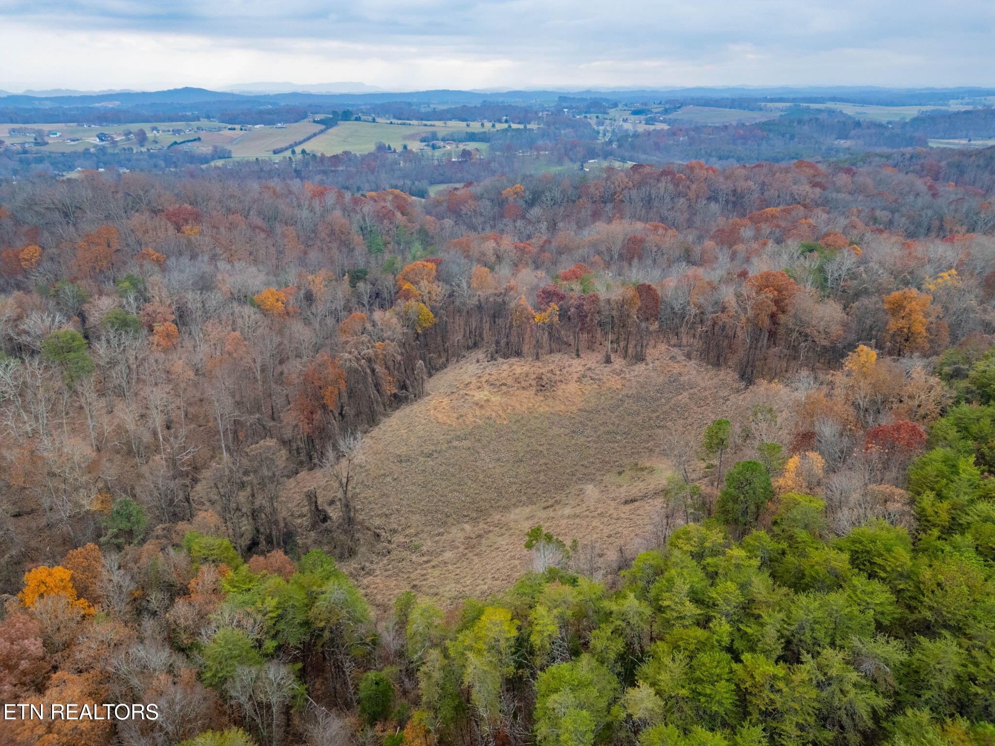 4231 Sweetwater Vonore Road Sweetwater, TN 37874 - Photo 15 of 51 42-web-or-mls-DJI_0910-HDR