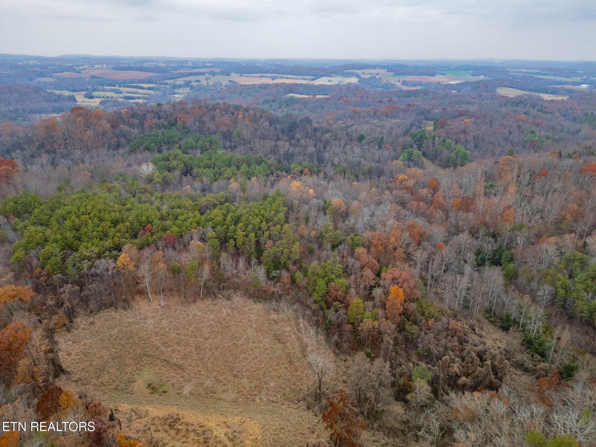 4231 Sweetwater Vonore Road Sweetwater, TN 37874 - Photo 17 of 51 40-web-or-mls-DJI_0900-HDR