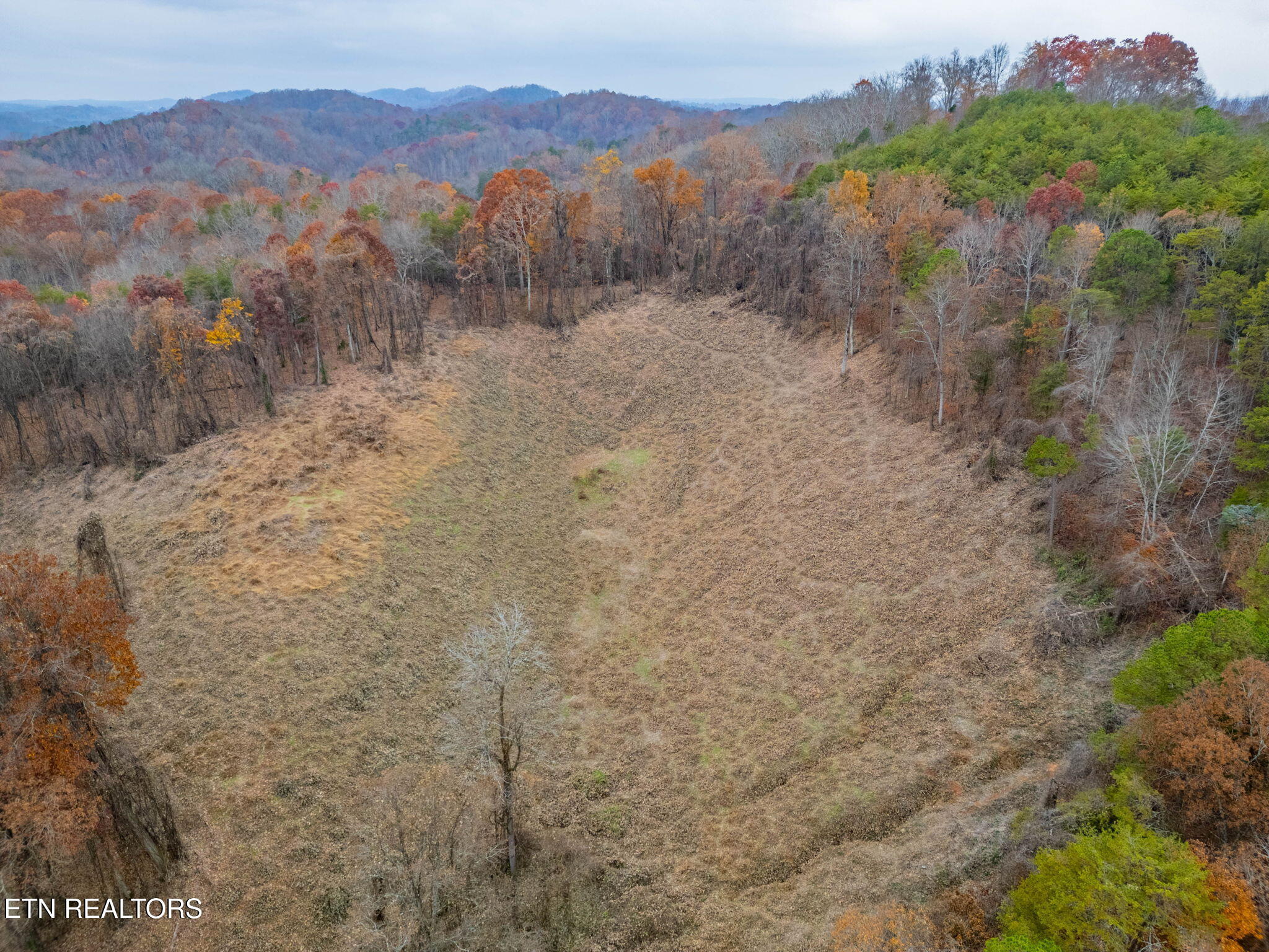 4231 Sweetwater Vonore Road Sweetwater, TN 37874 - Photo 19 of 51 38-web-or-mls-DJI_0890-HDR