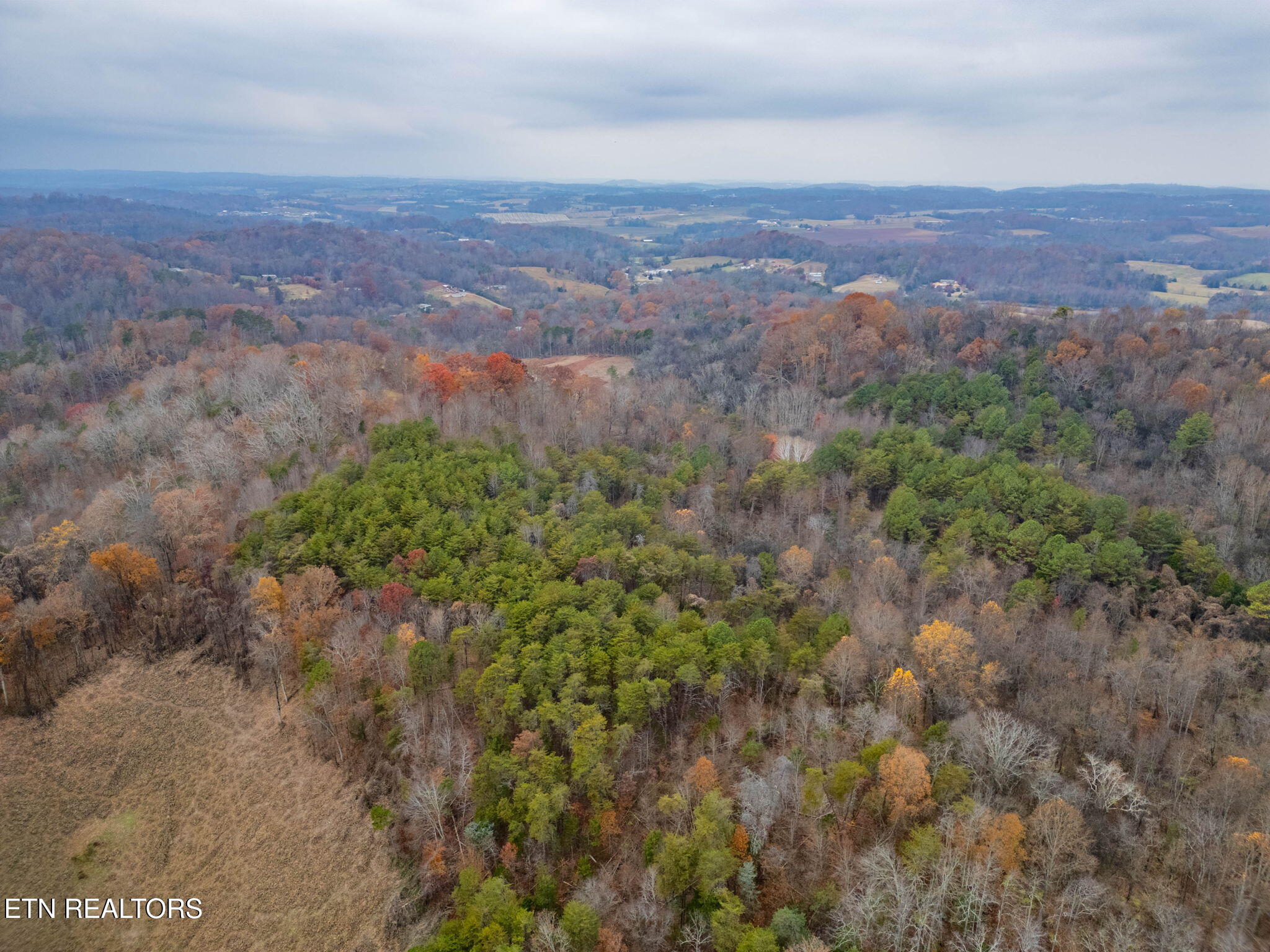 4231 Sweetwater Vonore Road Sweetwater, TN 37874 - Photo 23 of 51 34-web-or-mls-DJI_0870-HDR