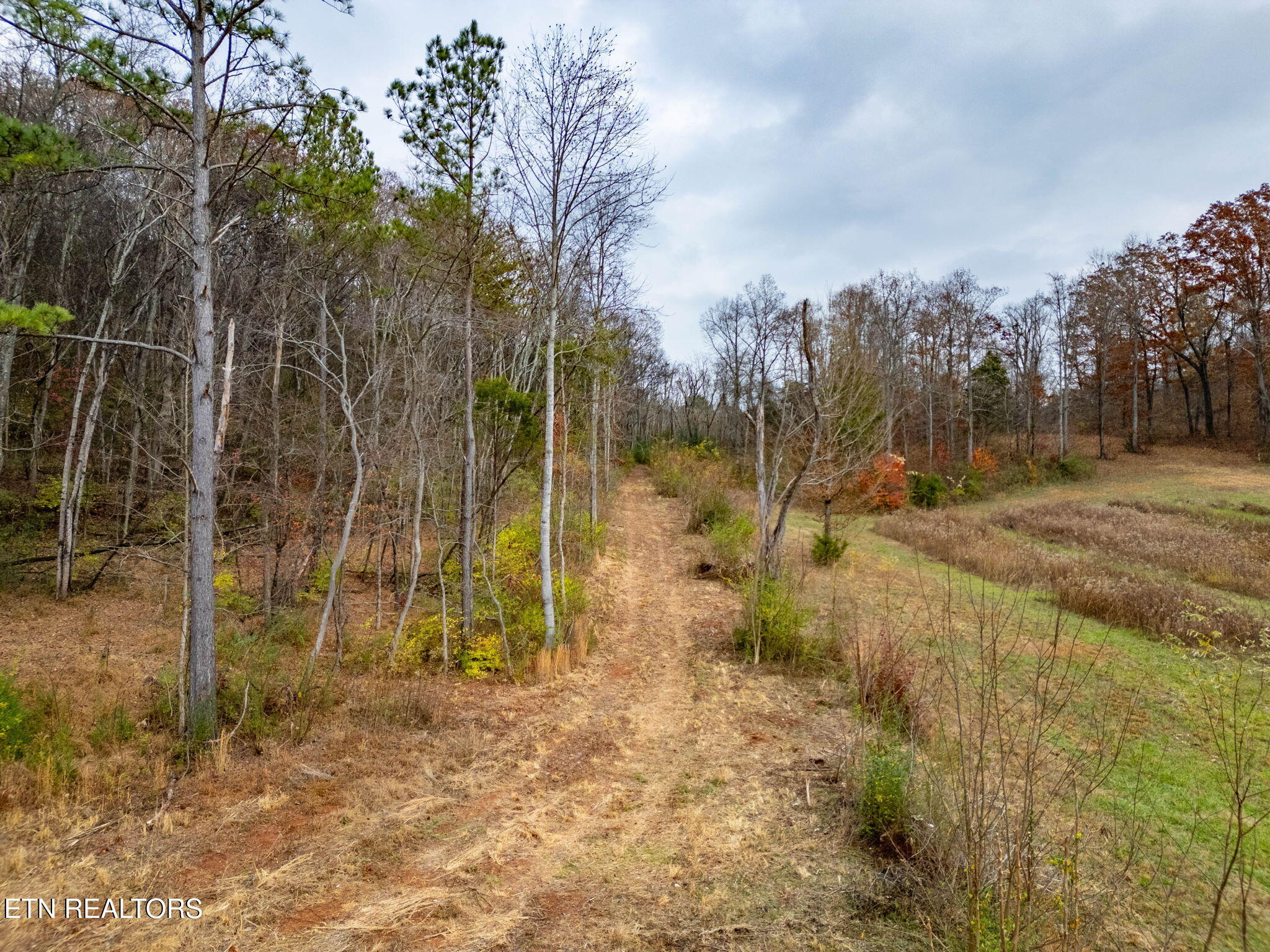 4231 Sweetwater Vonore Road Sweetwater, TN 37874 - Photo 33 of 51 20-web-or-mls-DJI_0042-HDR