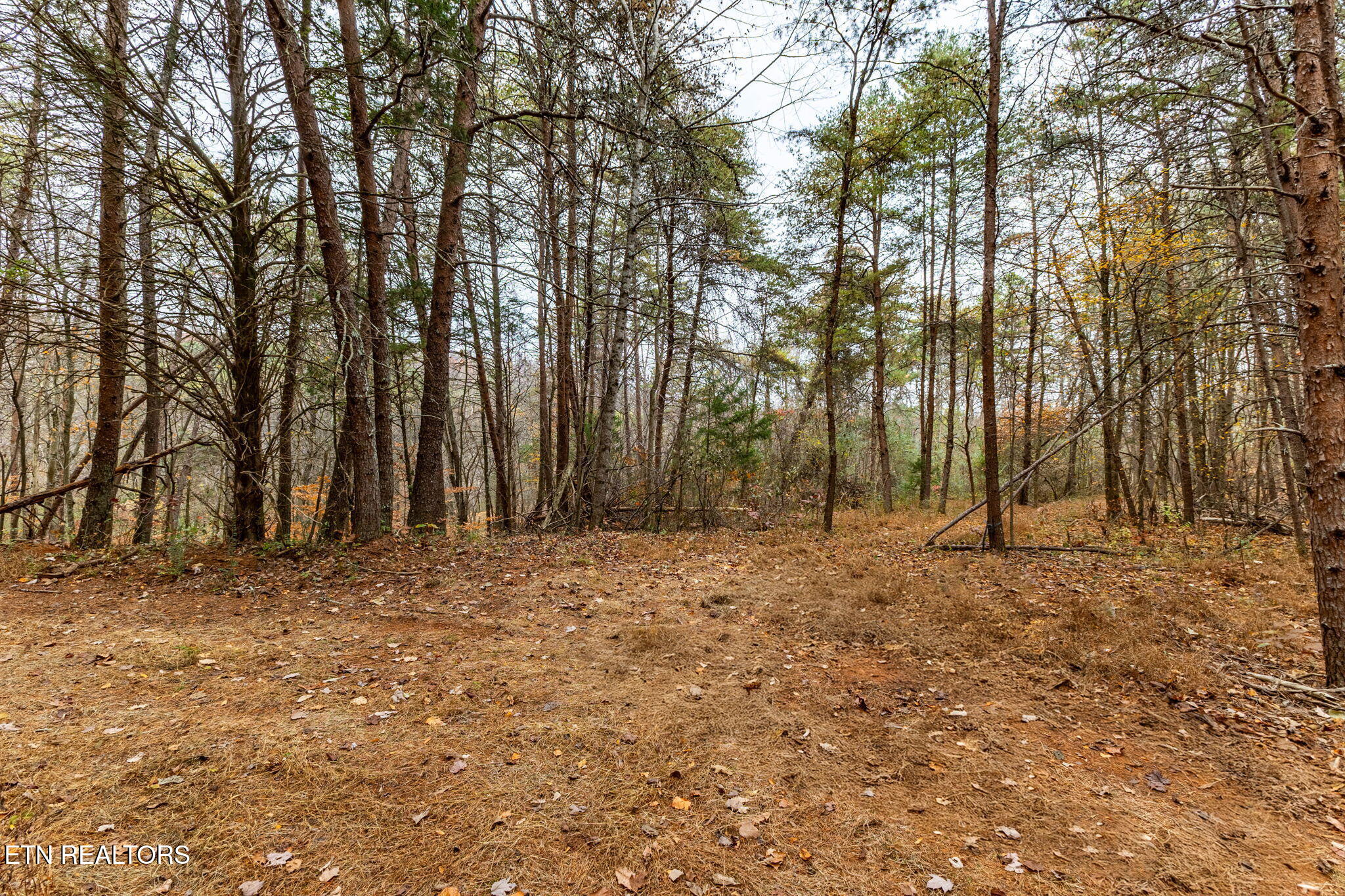 4231 Sweetwater Vonore Road Sweetwater, TN 37874 - Photo 42 of 51 11-web-or-mls-3F1A1723-HDR