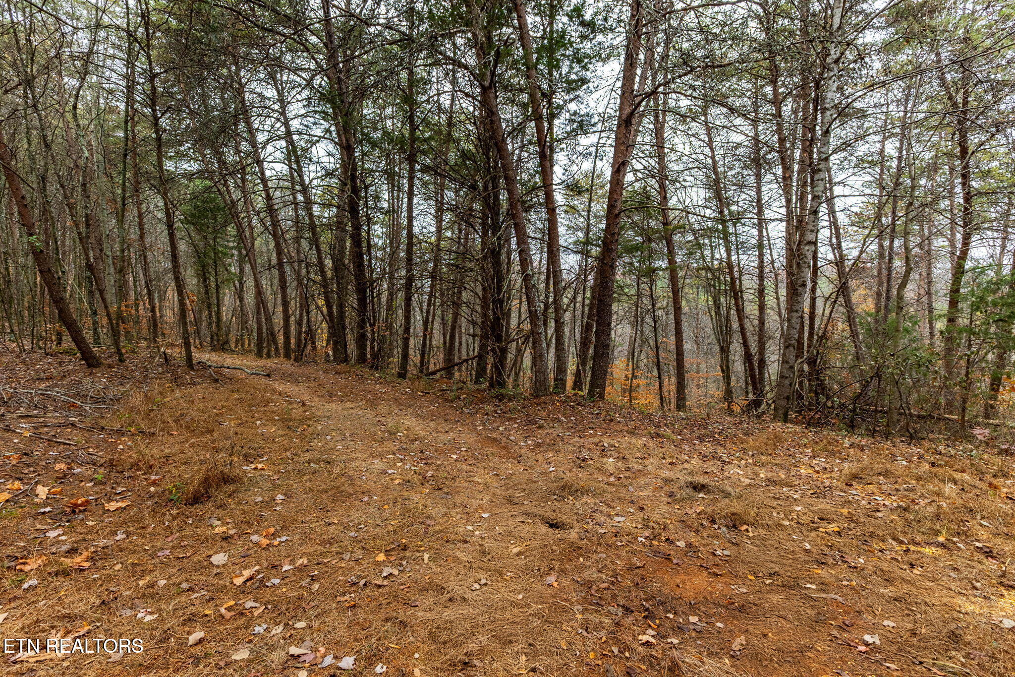 4231 Sweetwater Vonore Road Sweetwater, TN 37874 - Photo 43 of 51 10-web-or-mls-3F1A1720-HDR