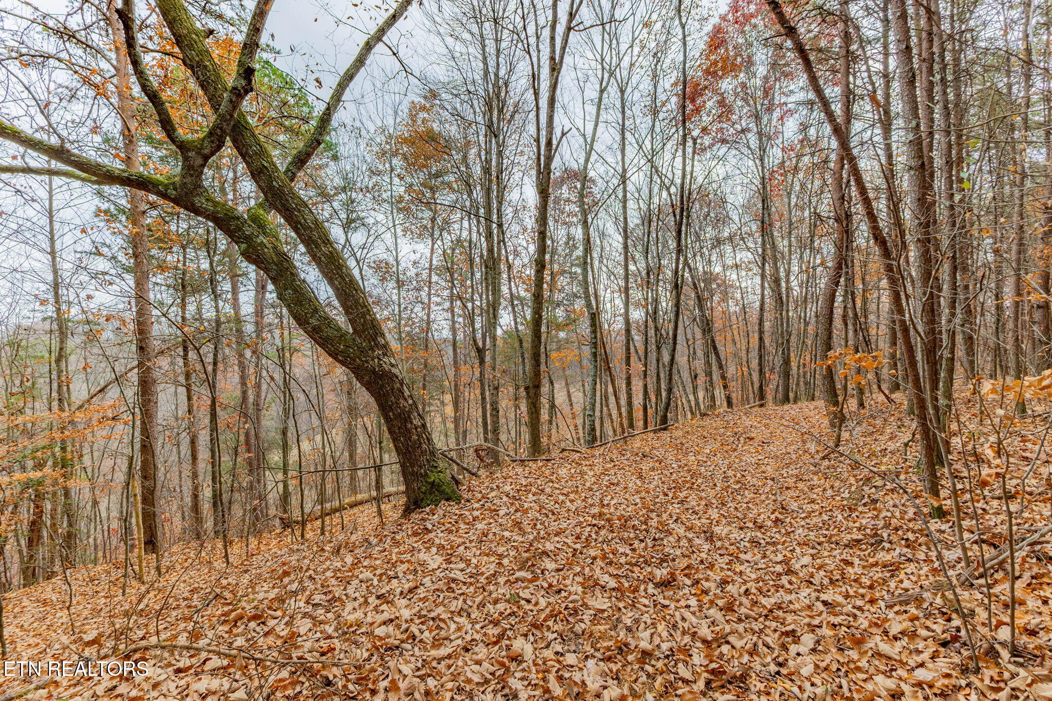 4231 Sweetwater Vonore Road Sweetwater, TN 37874 - Photo 44 of 51 9-web-or-mls-3F1A1716-HDR