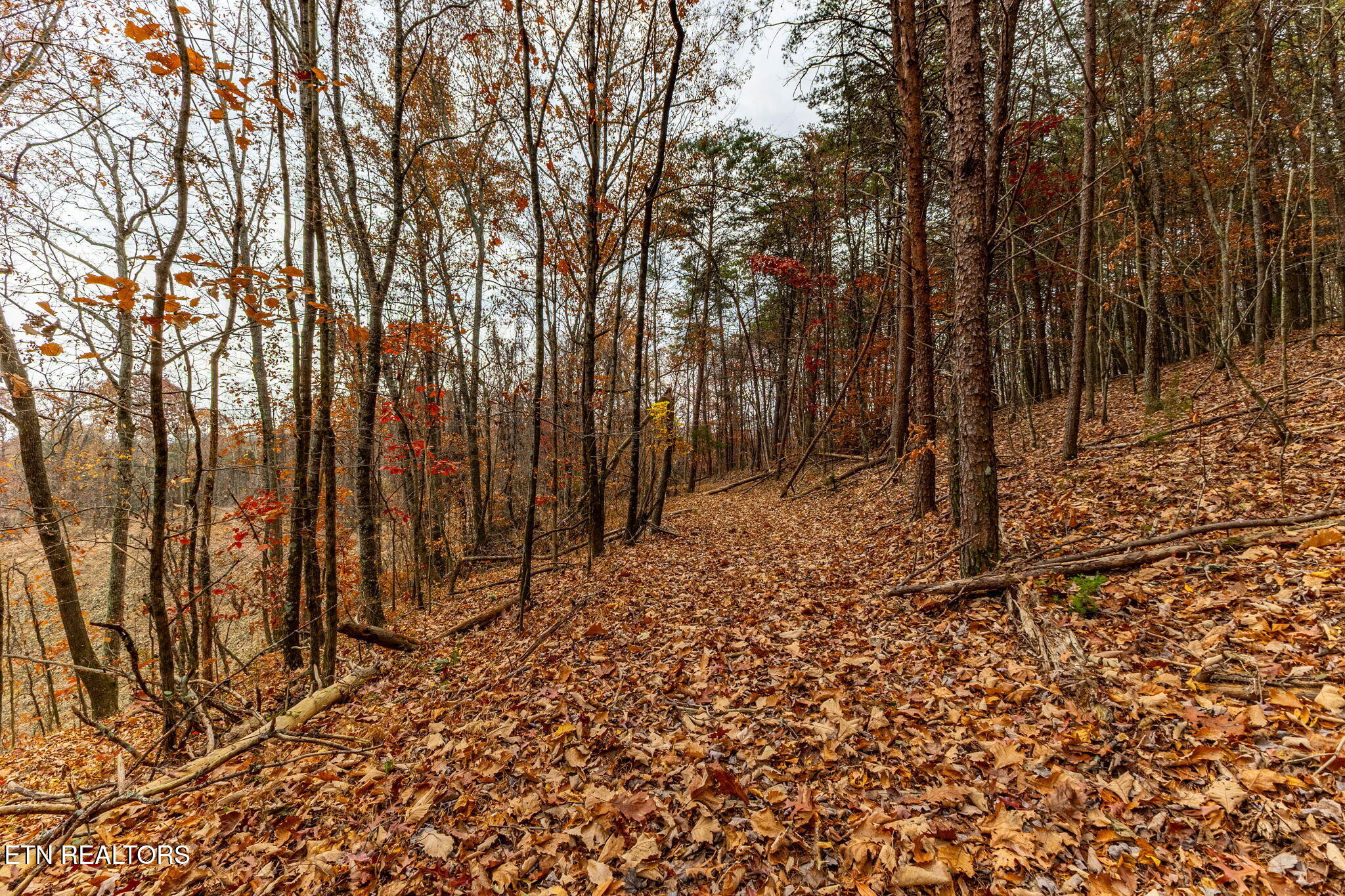 4231 Sweetwater Vonore Road Sweetwater, TN 37874 - Photo 45 of 51 8-web-or-mls-3F1A1713-HDR