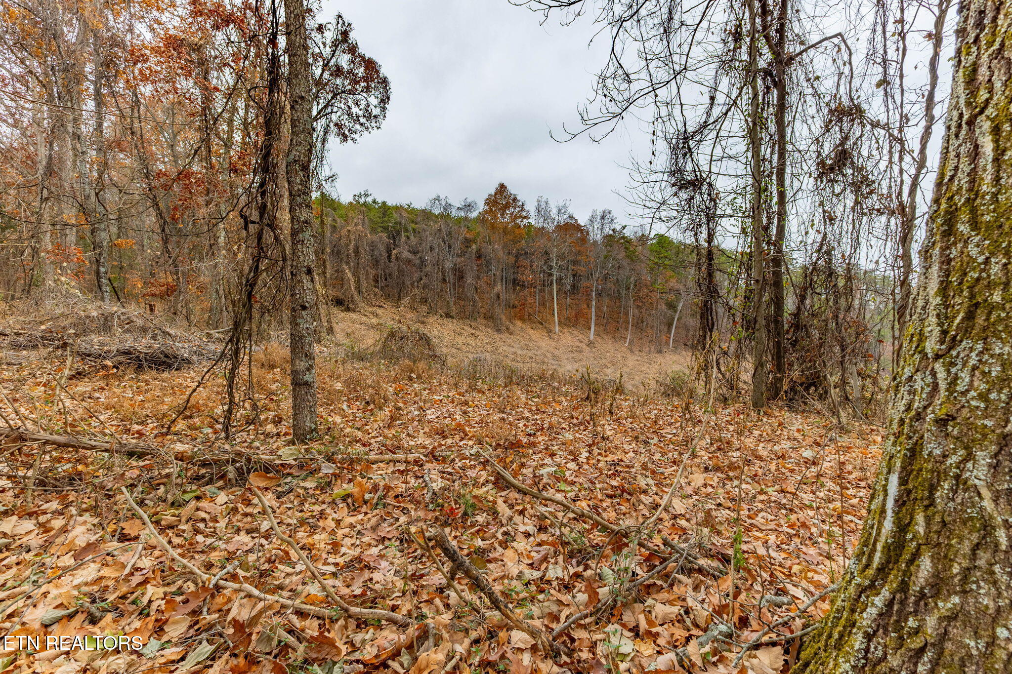 4231 Sweetwater Vonore Road Sweetwater, TN 37874 - Photo 46 of 51 7-web-or-mls-3F1A1710-HDR