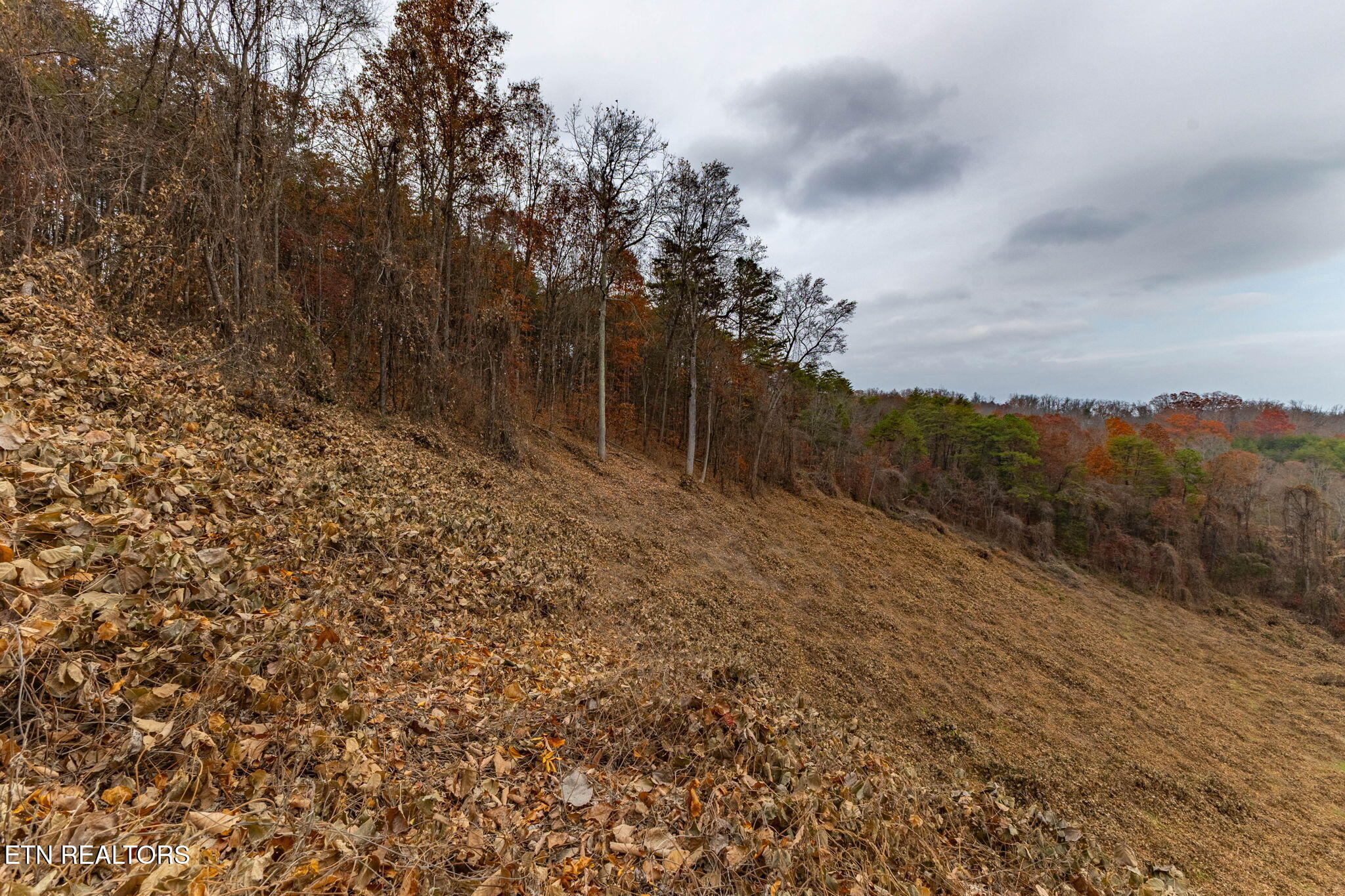 4231 Sweetwater Vonore Road Sweetwater, TN 37874 - Photo 48 of 51 5-web-or-mls-3F1A1704-HDR
