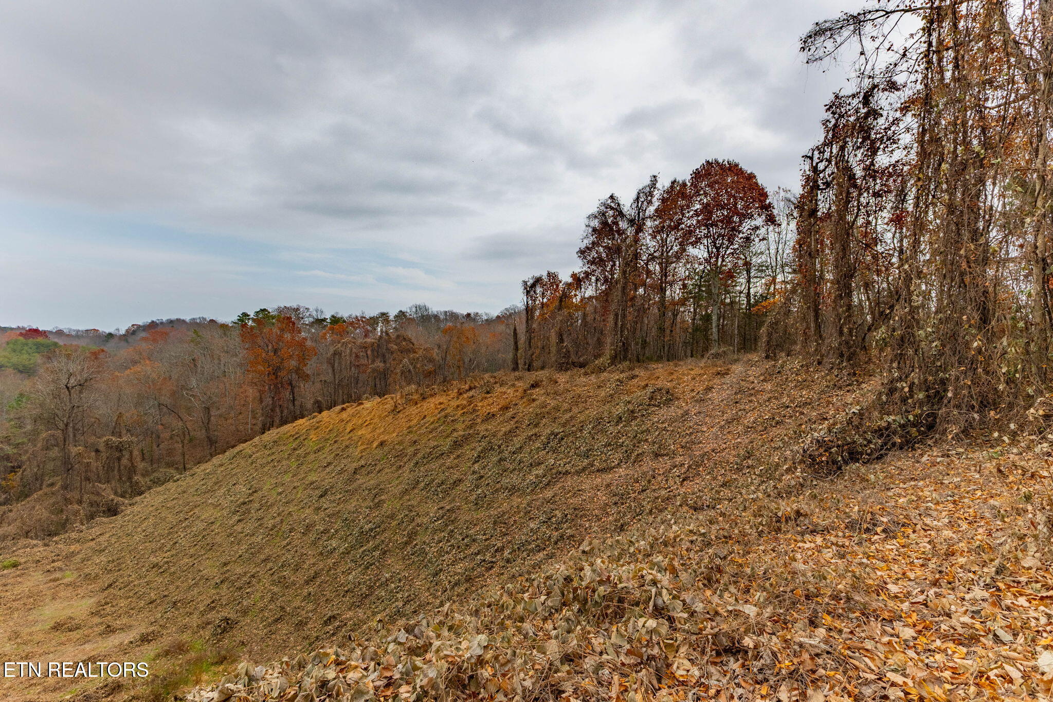 4231 Sweetwater Vonore Road Sweetwater, TN 37874 - Photo 49 of 51 4-web-or-mls-3F1A1701-HDR