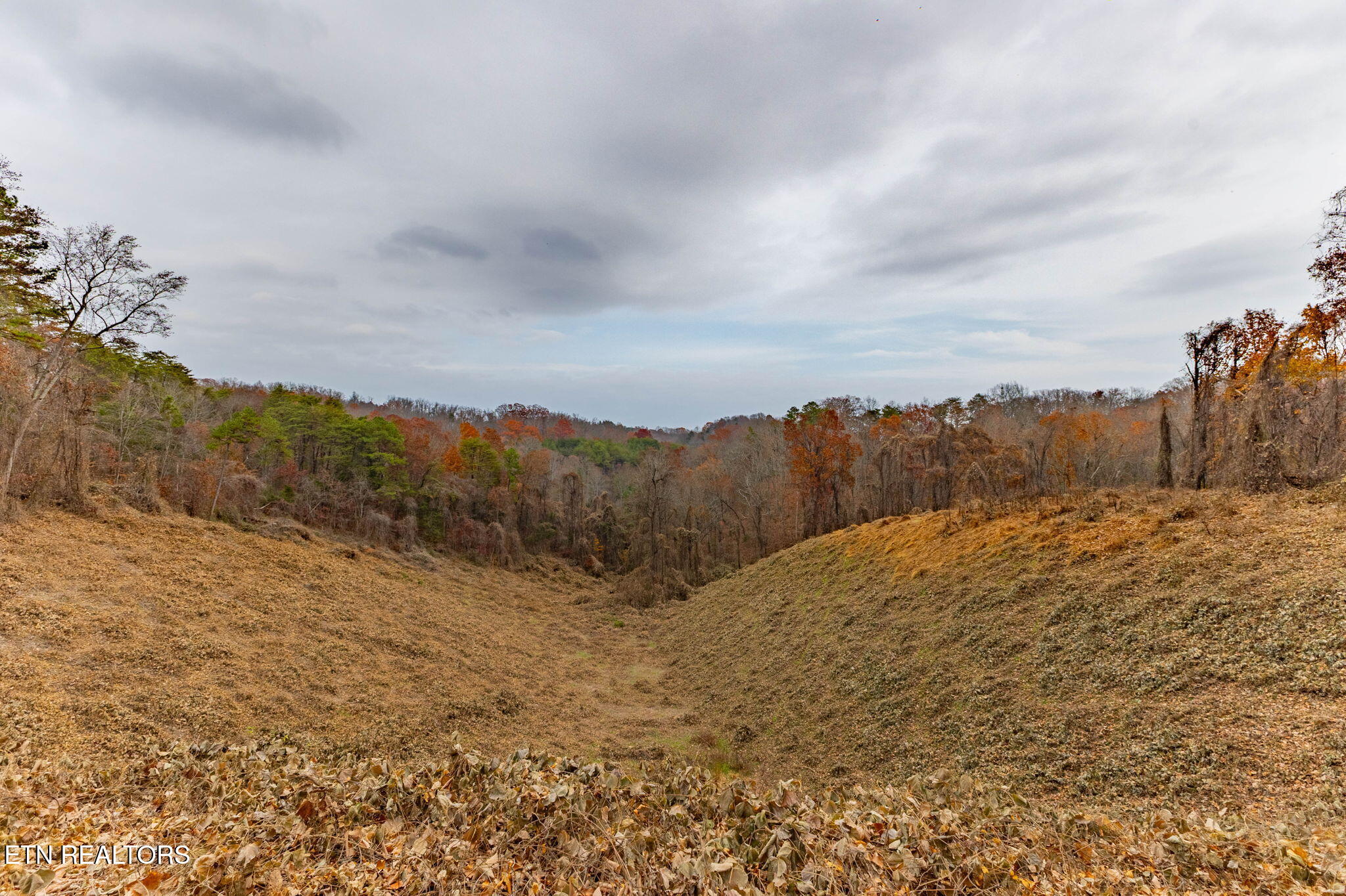 4231 Sweetwater Vonore Road Sweetwater, TN 37874 - Photo 50 of 51 3-web-or-mls-3F1A1698-HDR