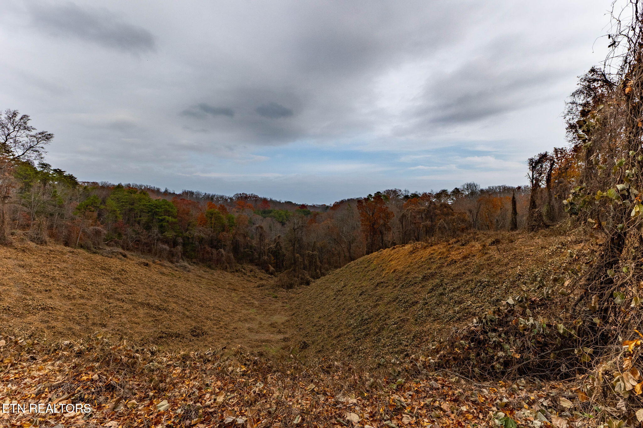 4231 Sweetwater Vonore Road Sweetwater, TN 37874 - Photo 51 of 51 2-web-or-mls-3F1A1695-HDR