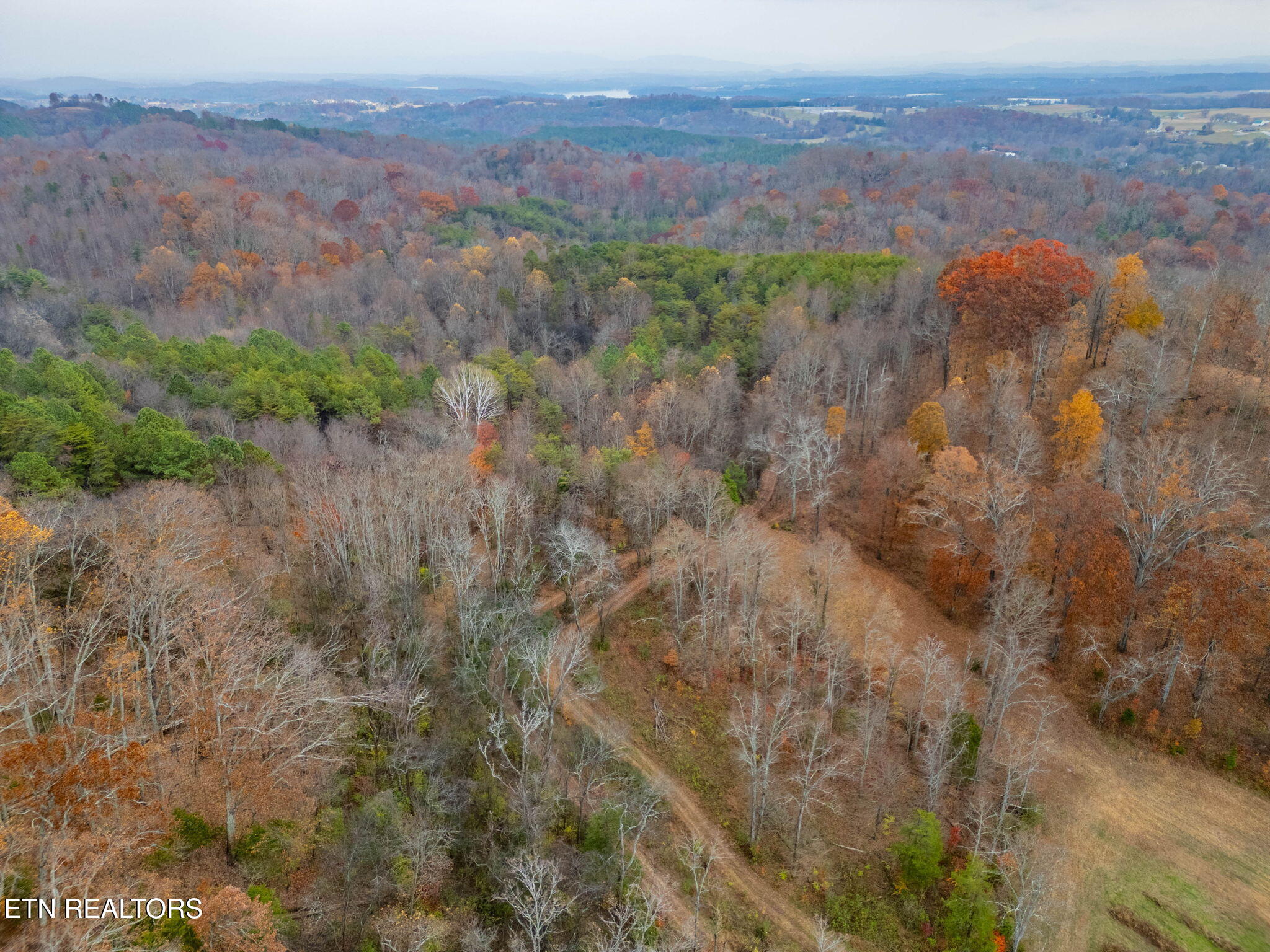 4231 Sweetwater Vonore Road Sweetwater, TN 37874 - Photo 9 of 51 47-web-or-mls-DJI_0947-HDR