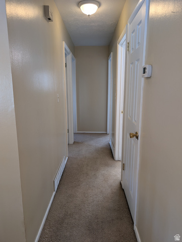 1411 Millbrook Way Bountiful, UT 84010 - Photo 17 of 36 Carpeted hallway featuring light neutral wall paint, white trim, and a flush mount ceiling light fixture