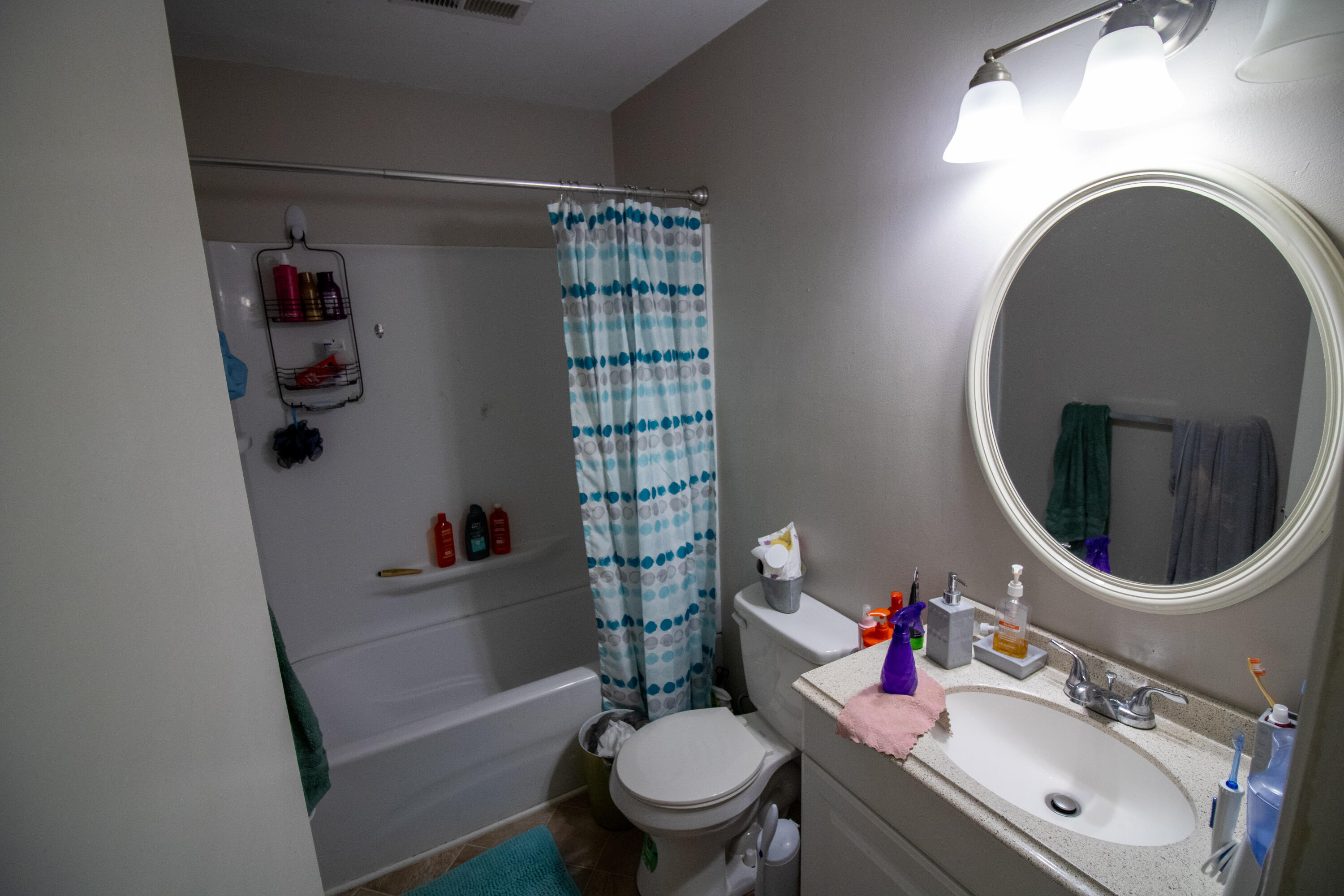 1748 Elbert Drive Roanoke, VA 24018 - Photo 13 of 18 a bathroom with a sink toilet and a mirror