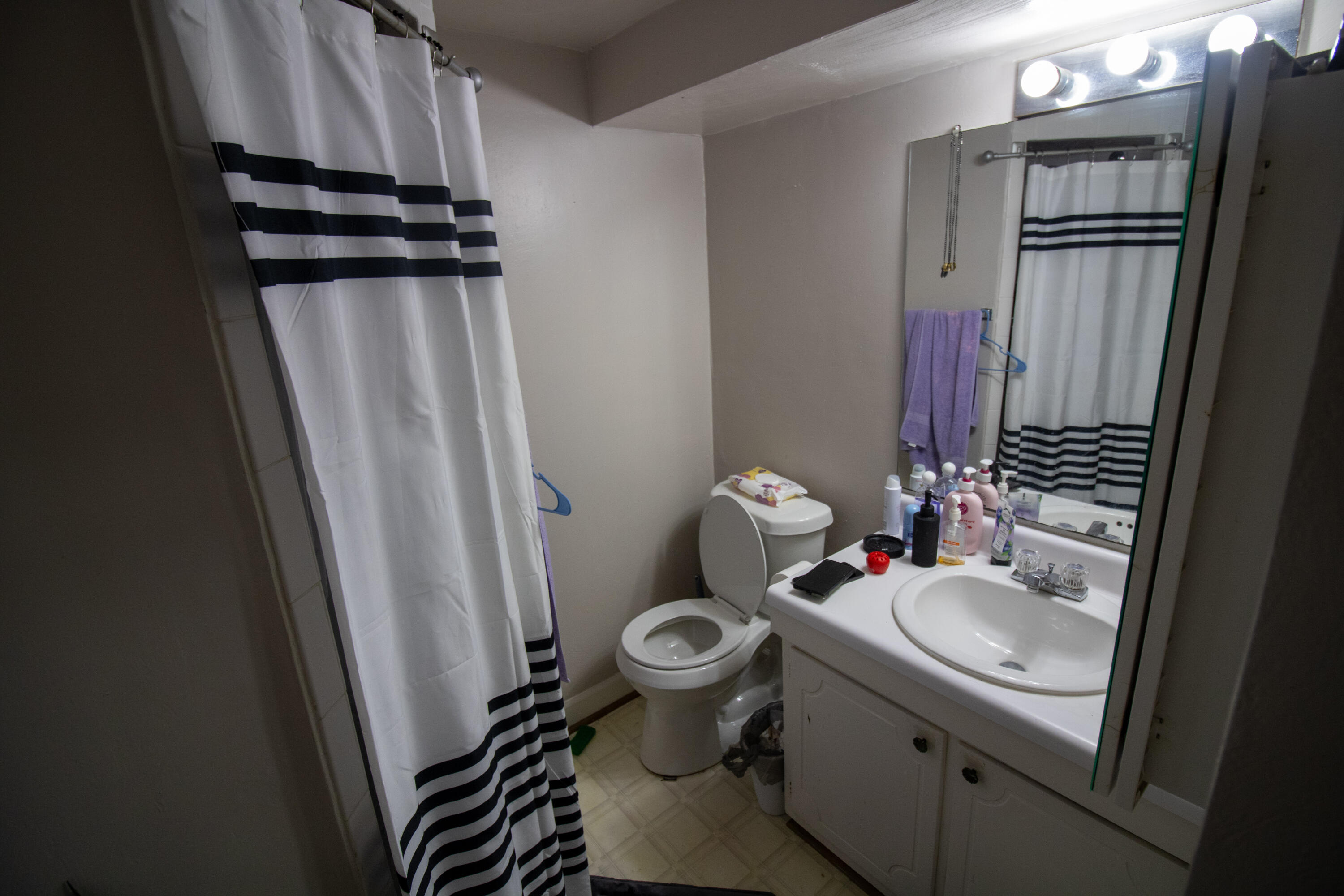 1748 Elbert Drive Roanoke, VA 24018 - Photo 10 of 18 a bathroom with a sink toilet and shower