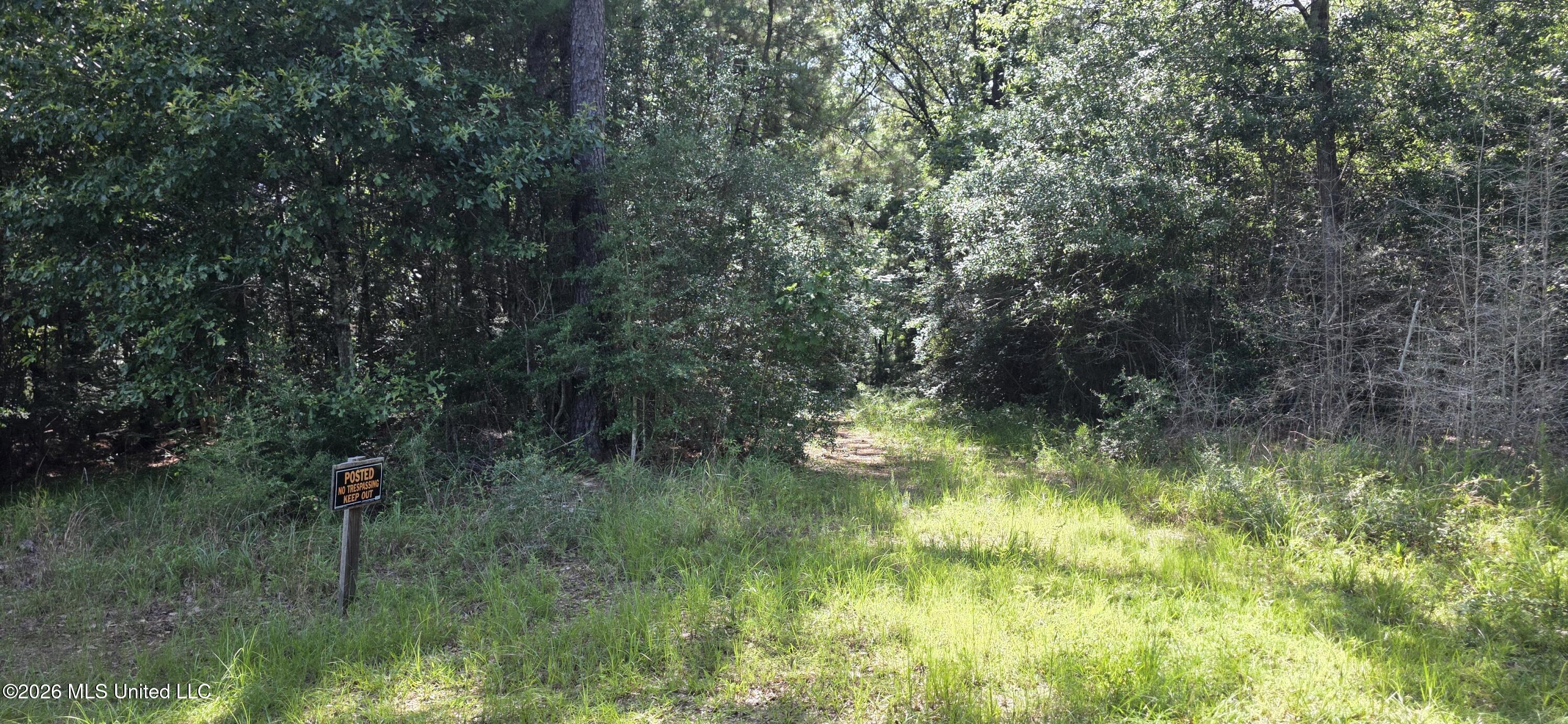 2046 Barto Leggett Road McComb, MS 39648 - Photo 26 of 29 20260623_160632