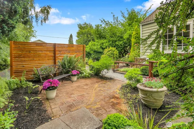 a view of a backyard with plants and chairs