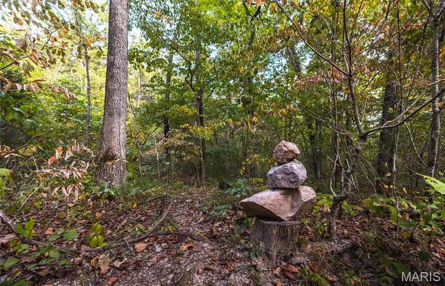 $696,000 | 0 Tbd Highway, Winona, MO 65588