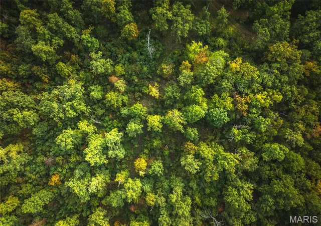 $696,000 | 0 Tbd Highway, Winona, MO 65588