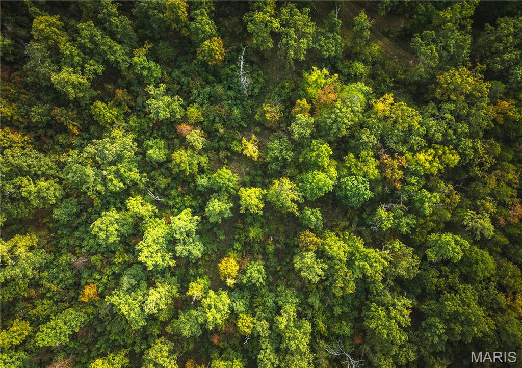 0 Tbd Highway Winona, MO 65588 - Photo 19 of 36