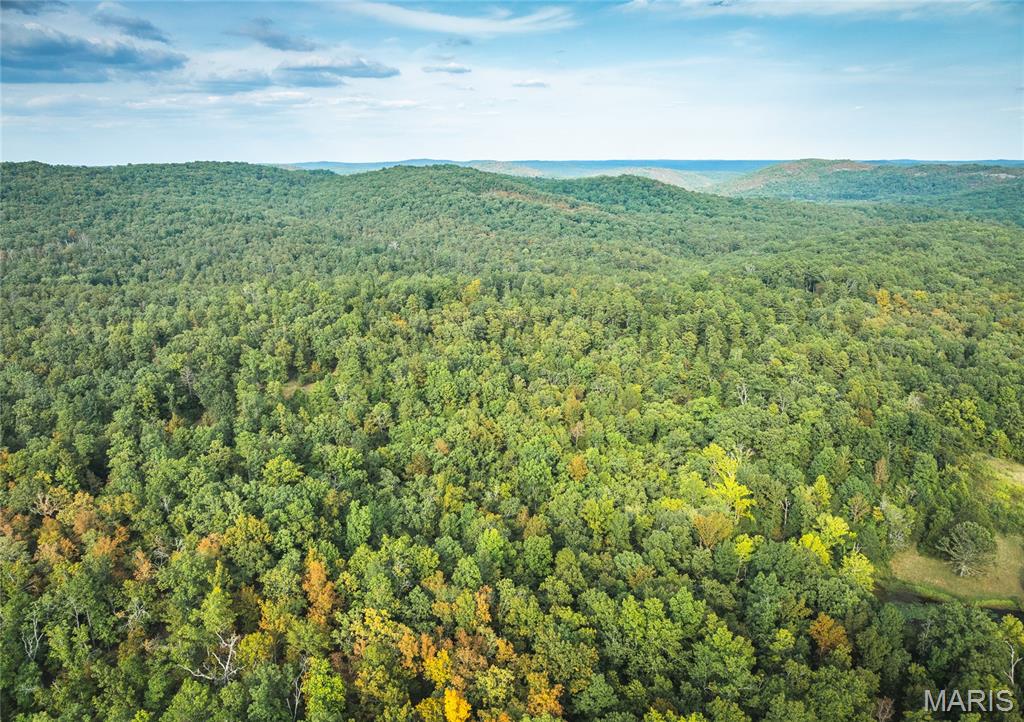 0 Tbd Highway Winona, MO 65588 - Photo 21 of 36