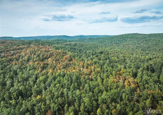 $696,000 | 0 Tbd Highway, Winona, MO 65588