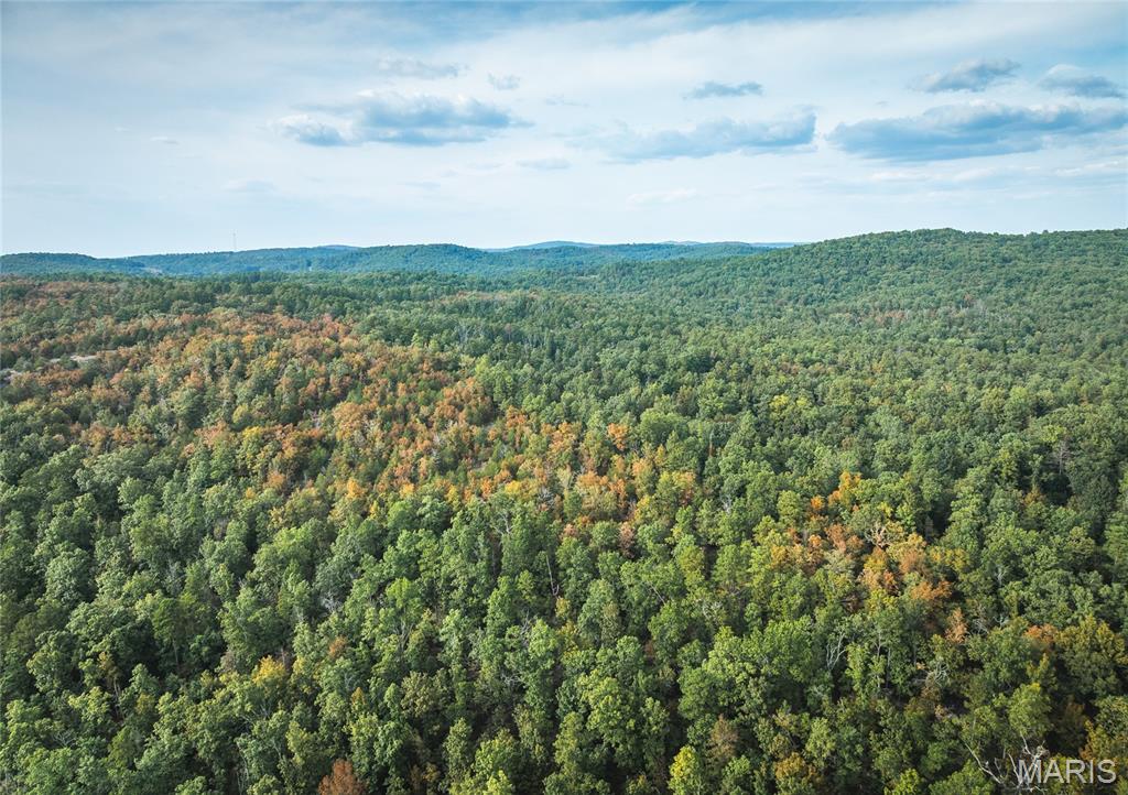 0 Tbd Highway Winona, MO 65588 - Photo 22 of 36