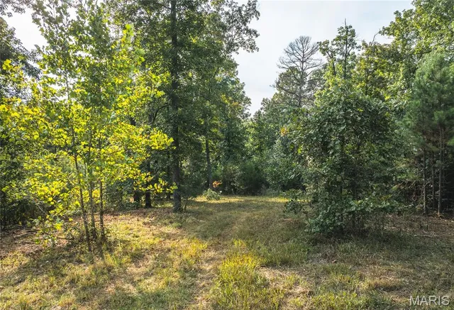 $696,000 | 0 Tbd Highway, Winona, MO 65588