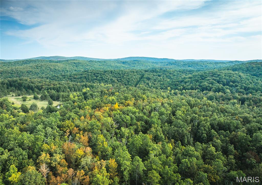 0 Tbd Highway Winona, MO 65588 - Photo 25 of 36