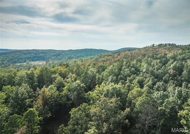 $696,000 | 0 Tbd Highway, Winona, MO 65588