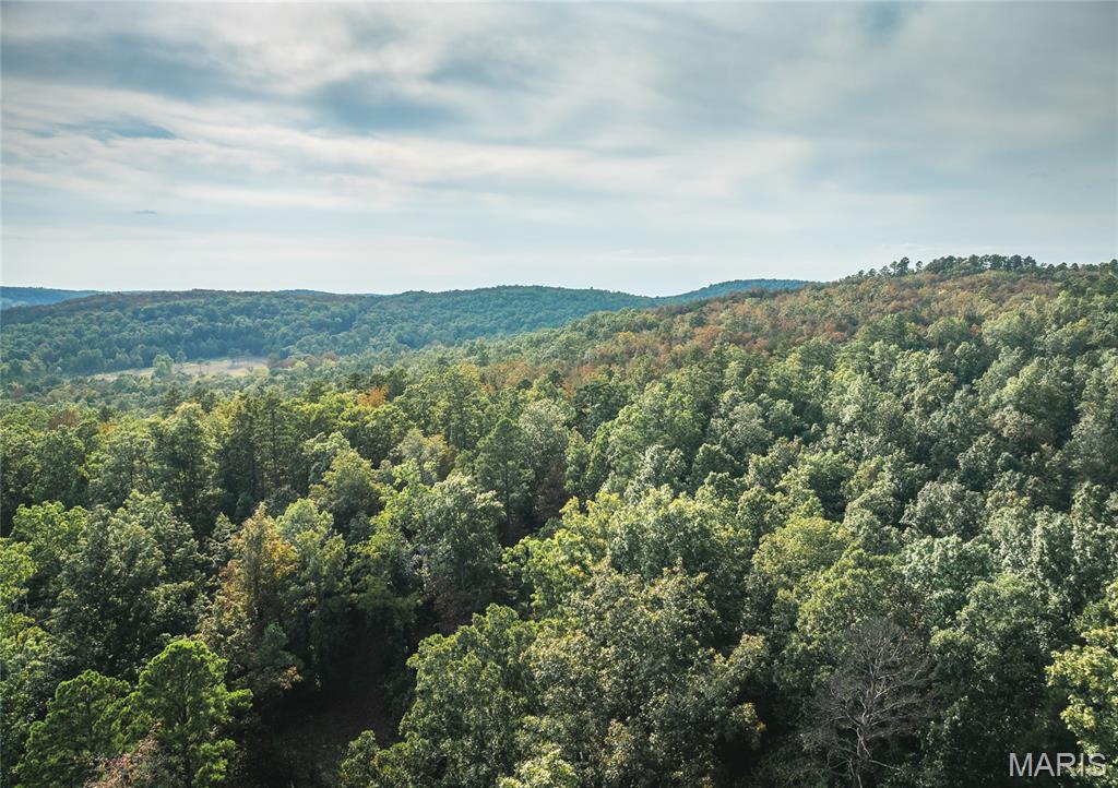 0 Tbd Highway Winona, MO 65588 - Photo 26 of 36