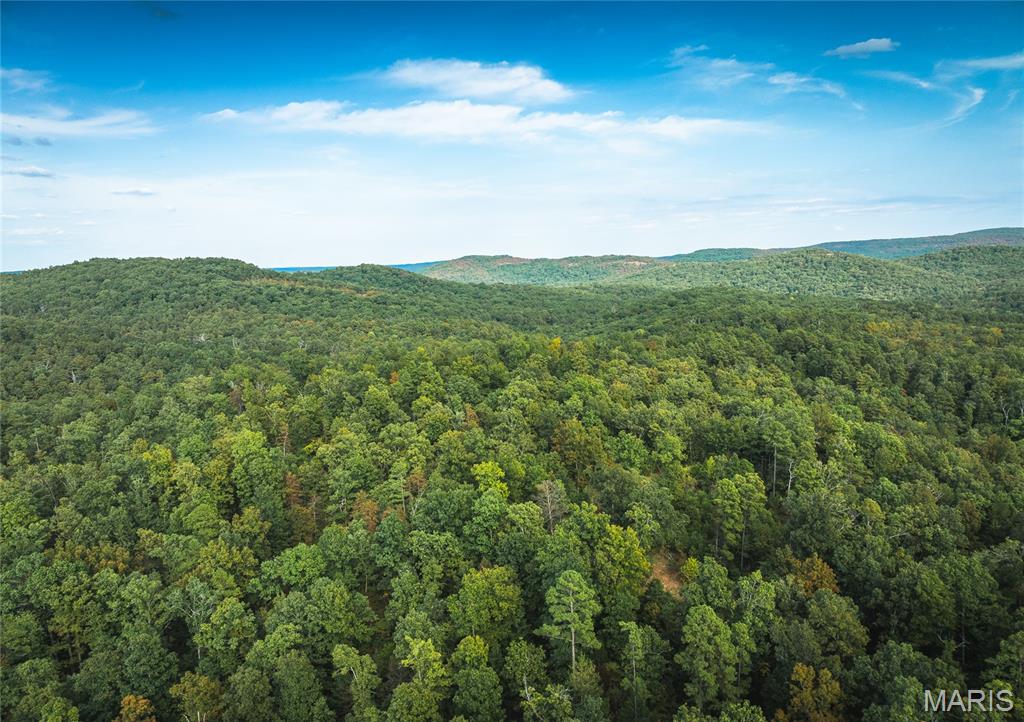 0 Tbd Highway Winona, MO 65588 - Photo 28 of 36