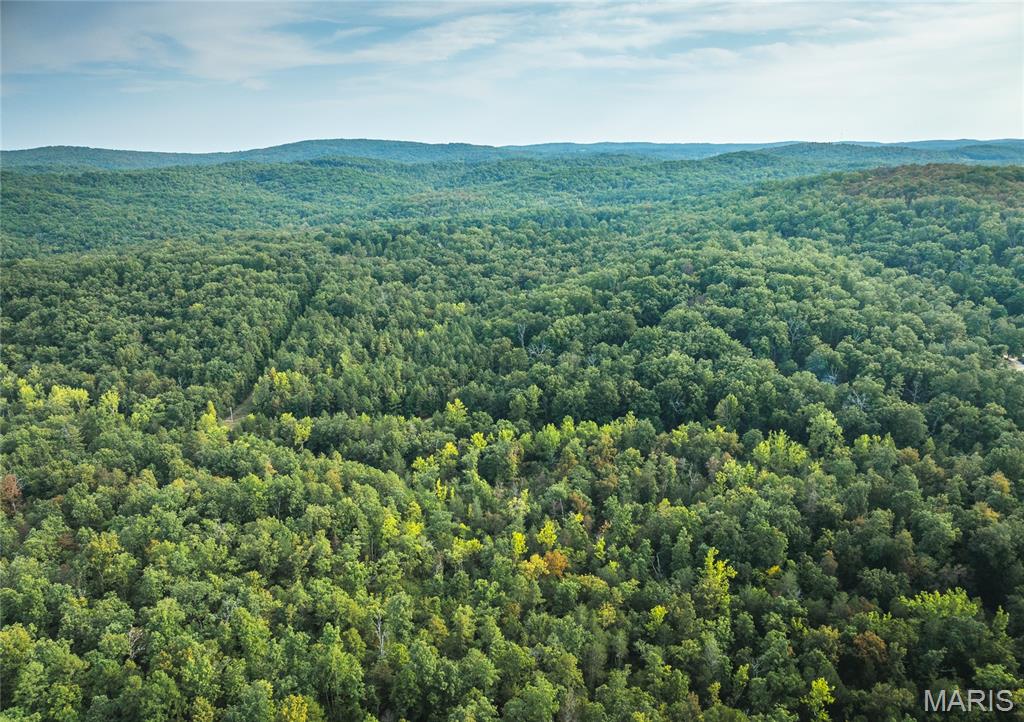 0 Tbd Highway Winona, MO 65588 - Photo 29 of 36