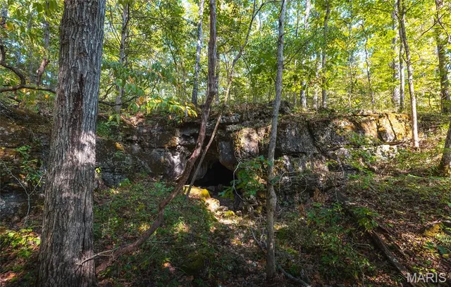 $696,000 | 0 Tbd Highway, Winona, MO 65588