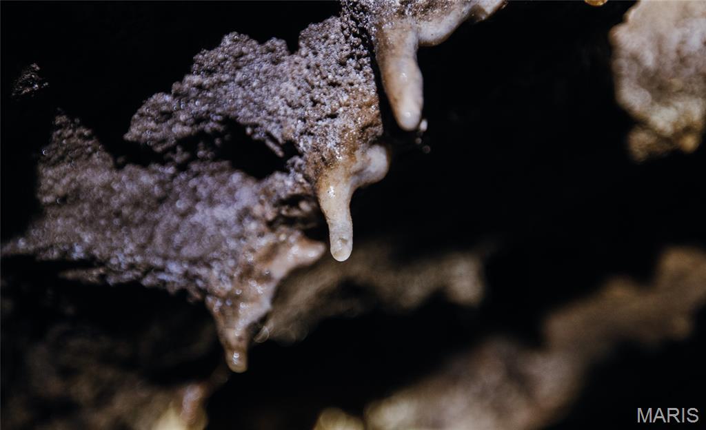 0 Tbd Highway Winona, MO 65588 - Photo 10 of 36