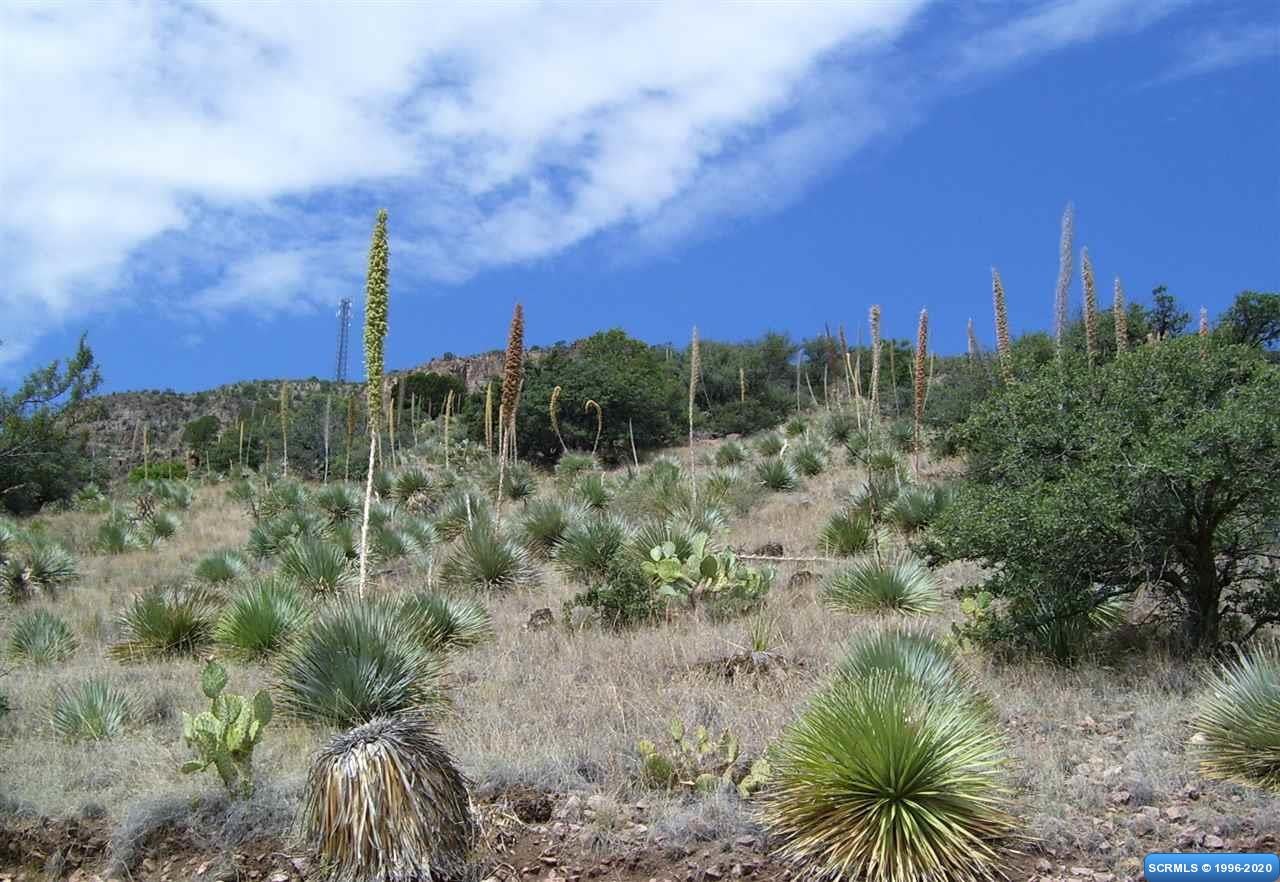 225 Caballo Blanco Road, Unit LOT 37 Mimbres, NM 88049 - Photo 2 of 5 Gallery Image 2