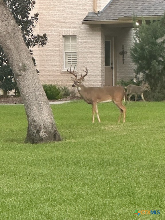 313 Treasure Oaks Road Inez, TX 77968 - Photo 38 of 47 a view of a house with backyard