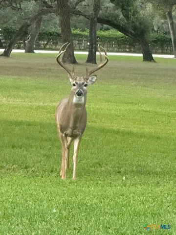 a view of outdoor space with a garden