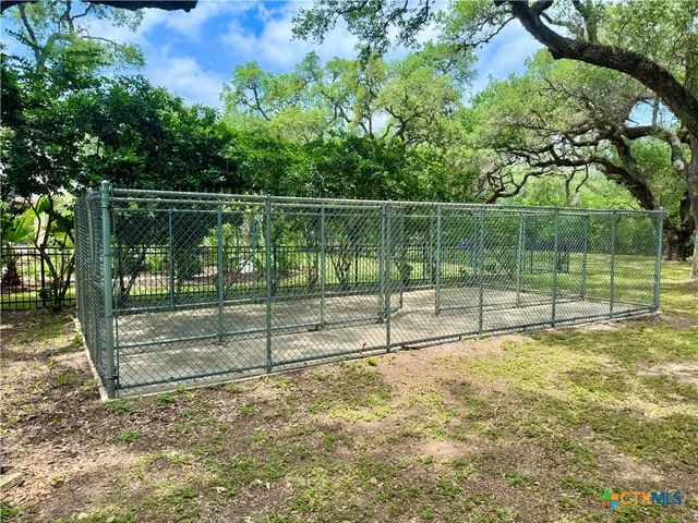 a big yard with large trees