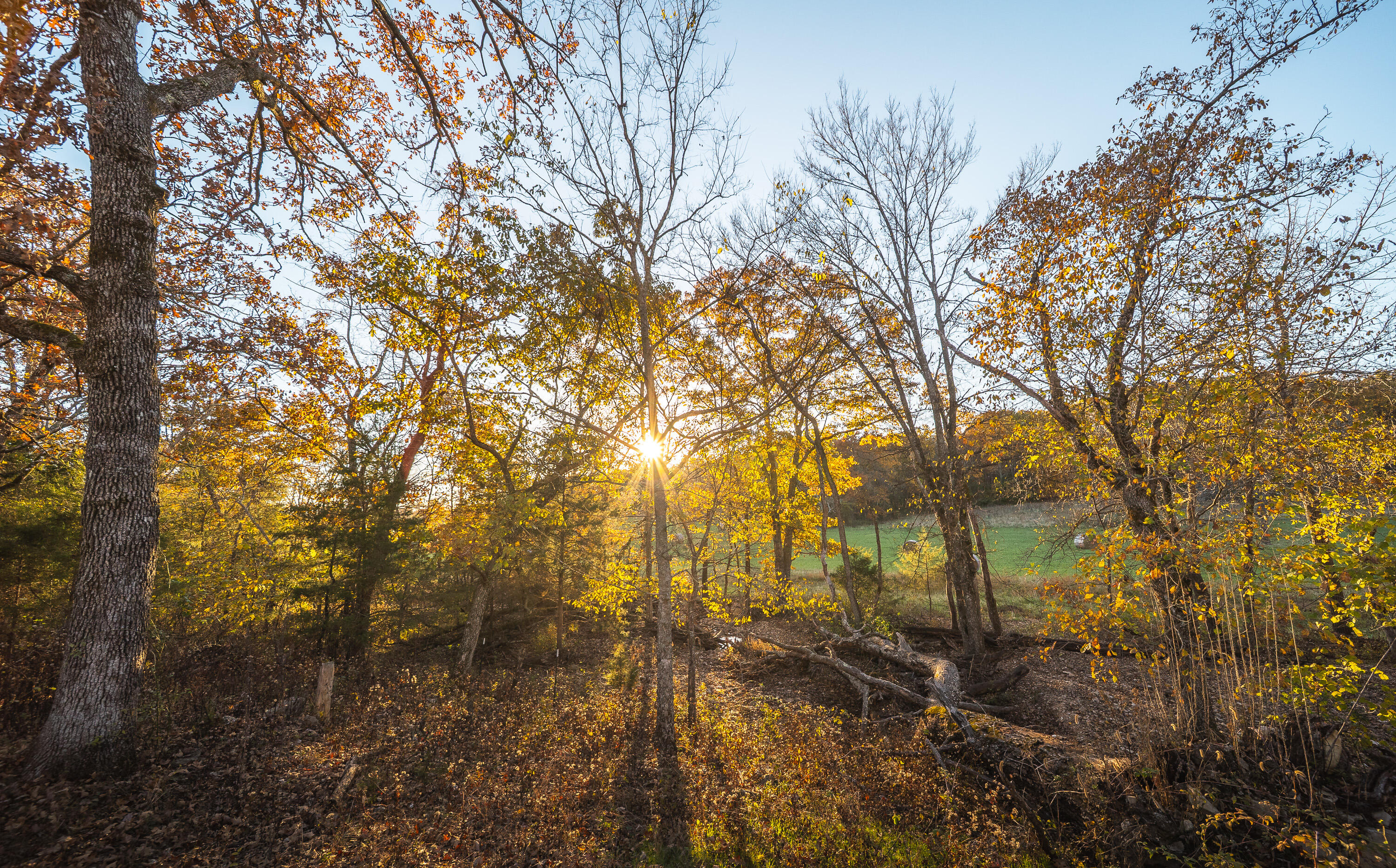 6601 County Line Road Graff, MO 65660 - Photo 60 of 60 HF7A9817