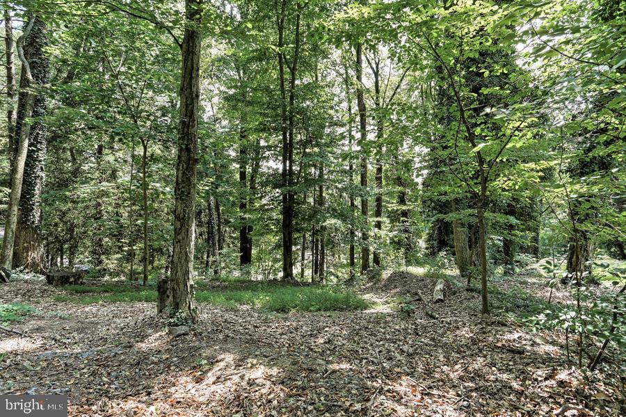 389 Old Mine Road Lebanon, PA 17042 - Photo 64 of 65 Gallery Image 64