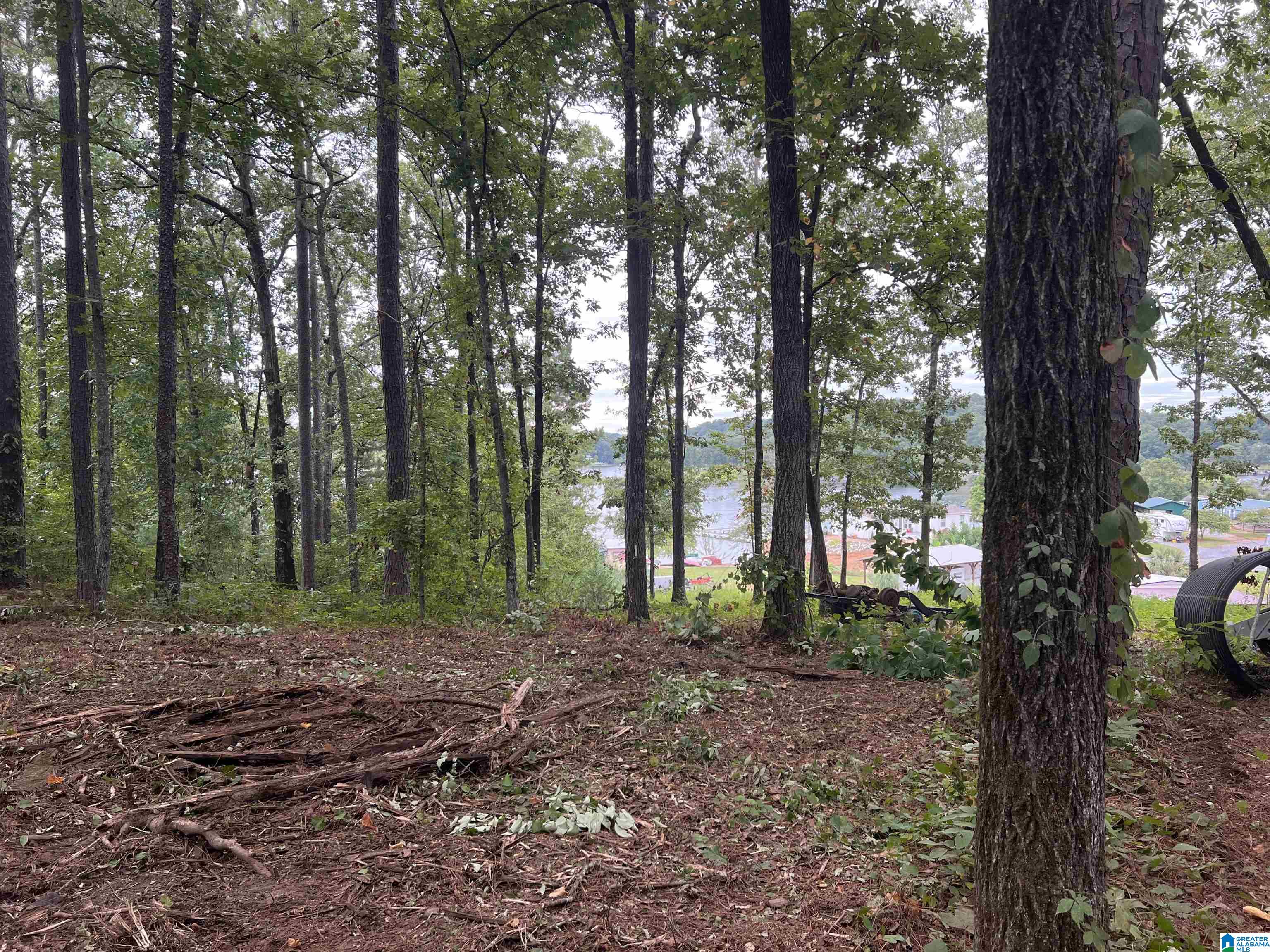 1 Centaurus Circle, Unit 2 Alpine, AL 35014 - Photo 6 of 15