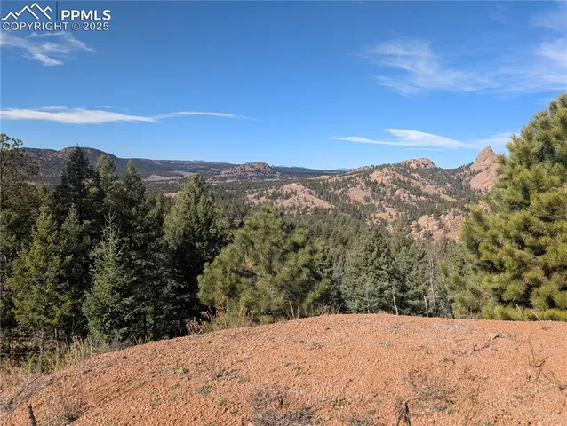 a view of a dry yard